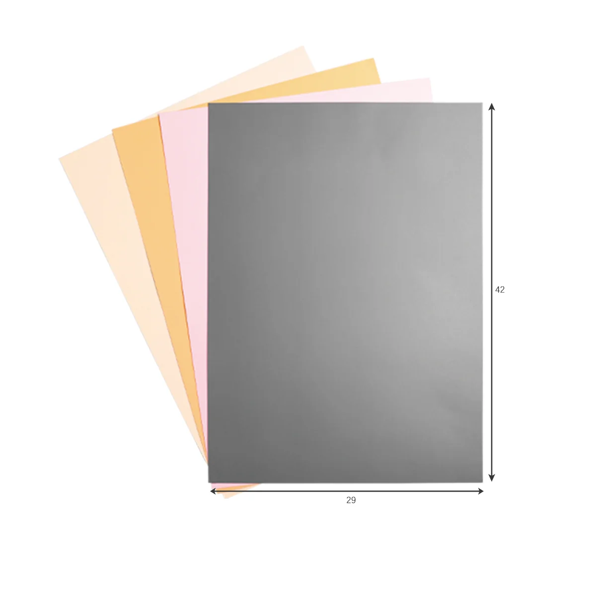 Photo Backdrop Set - 2